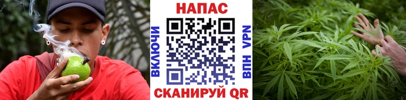 гидра ССЫЛКА  Почеп  Бошки марихуана гибрид 